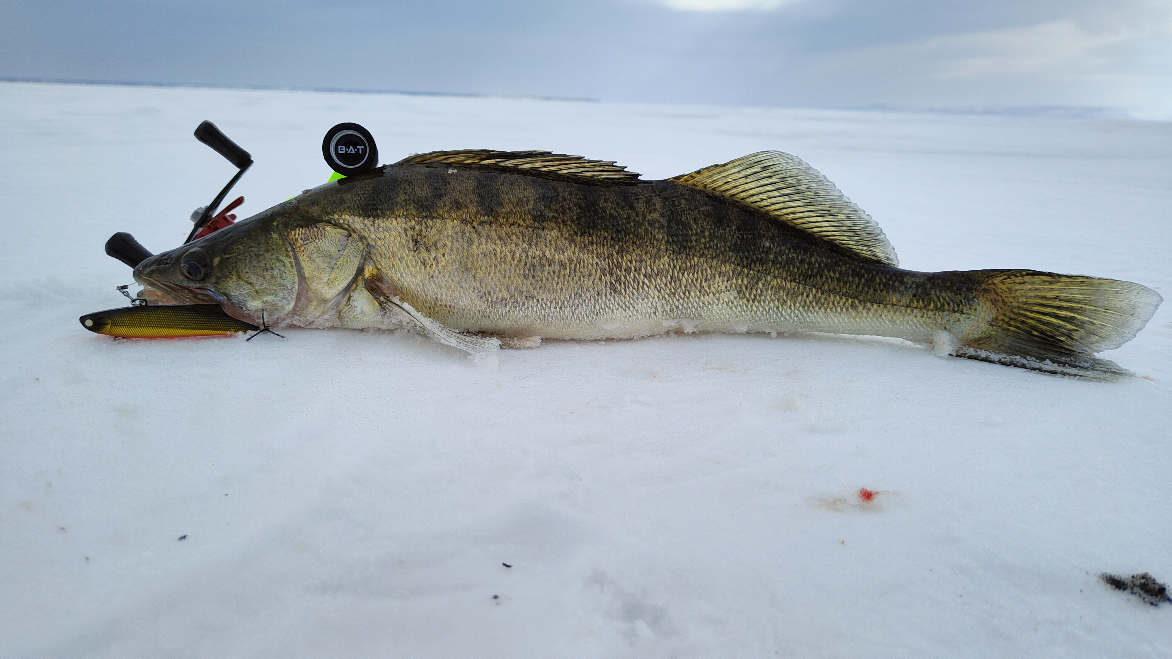 Весенний марафон по судаку!🔥🎣