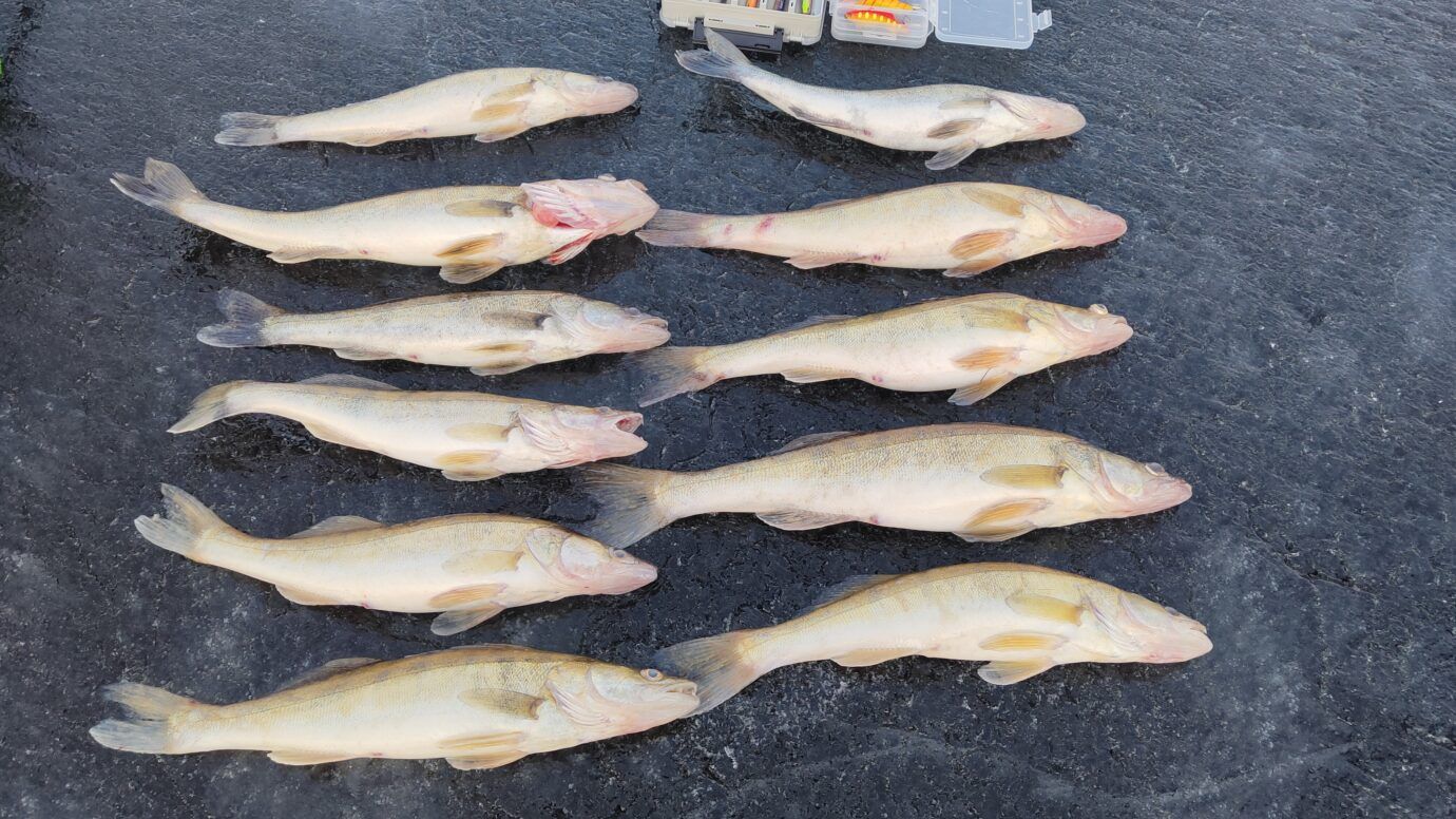 Закрытие сезона твердой воды 25!🎣🔥