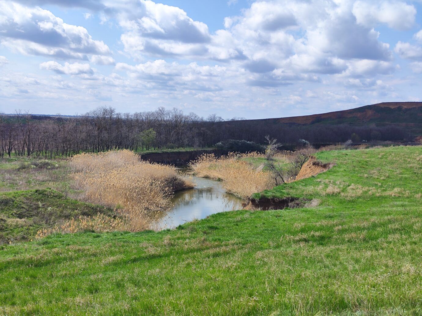 Красоты Семикаракорского района