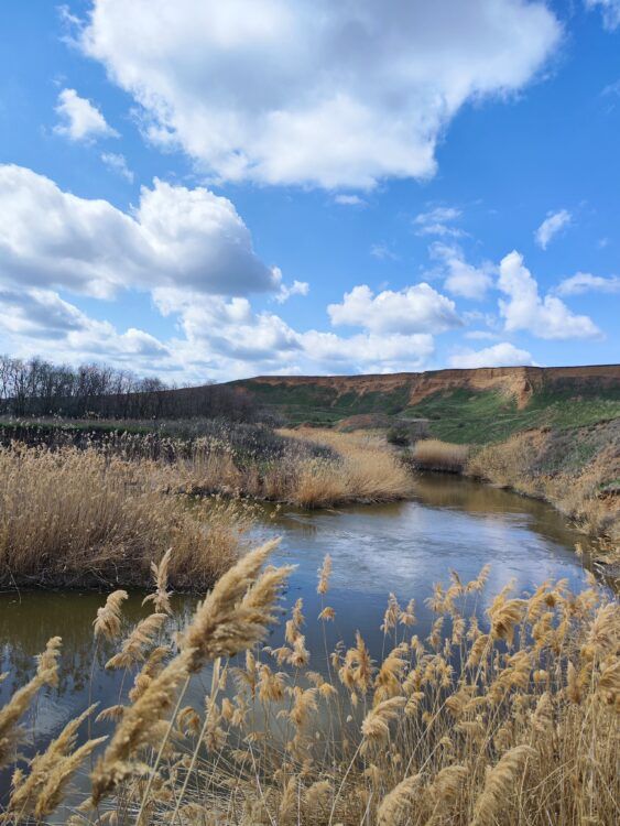 Красоты Семикаракорского района