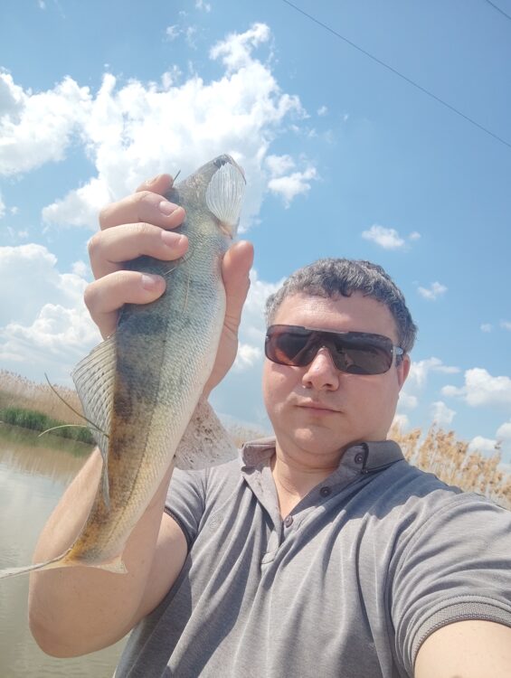 Обеденный судак pt1