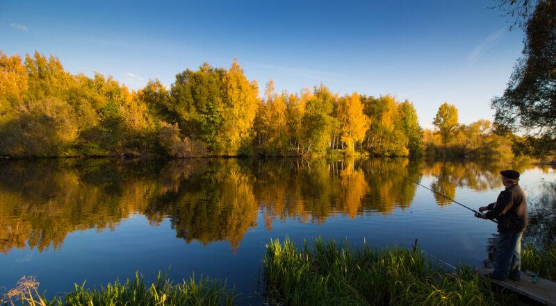 рыбалка на Октябрьской