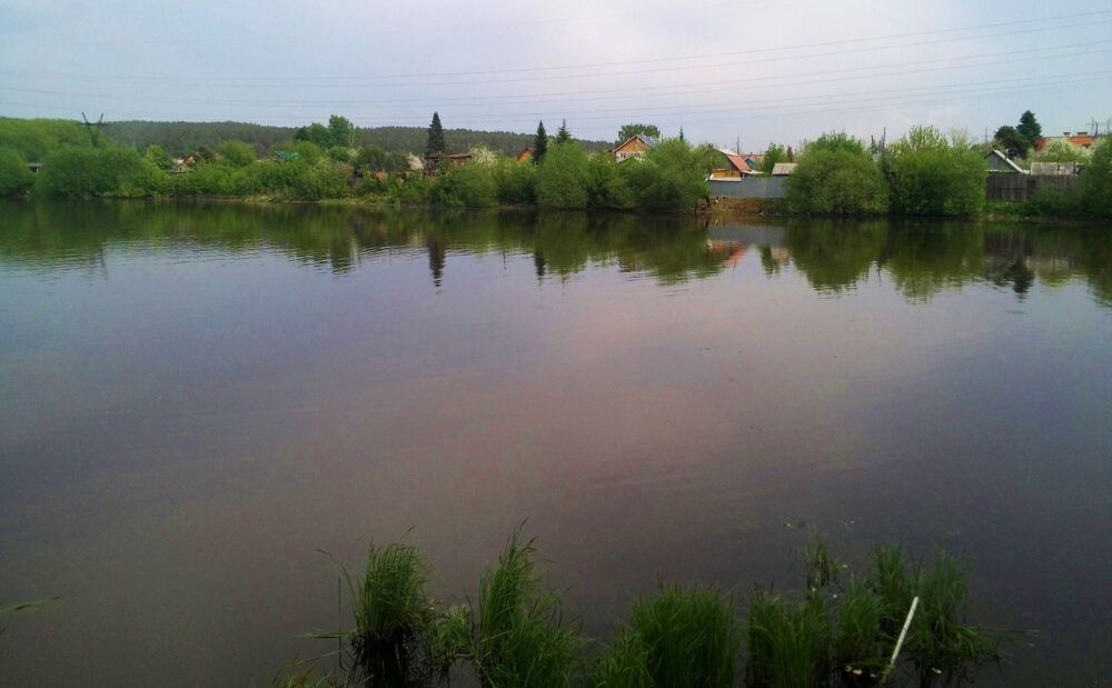 Елизаветинские пруды: рыбалка Краснодар
