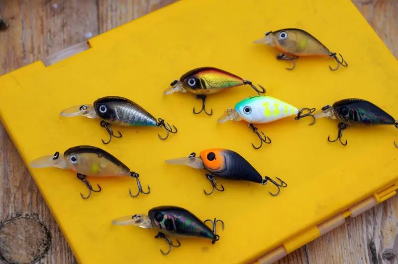 fishycat icat 32f stoit prismotretsya.jpg
