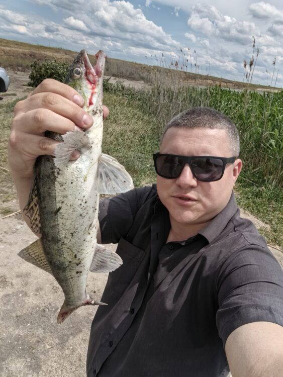 Обеденный судак pt2