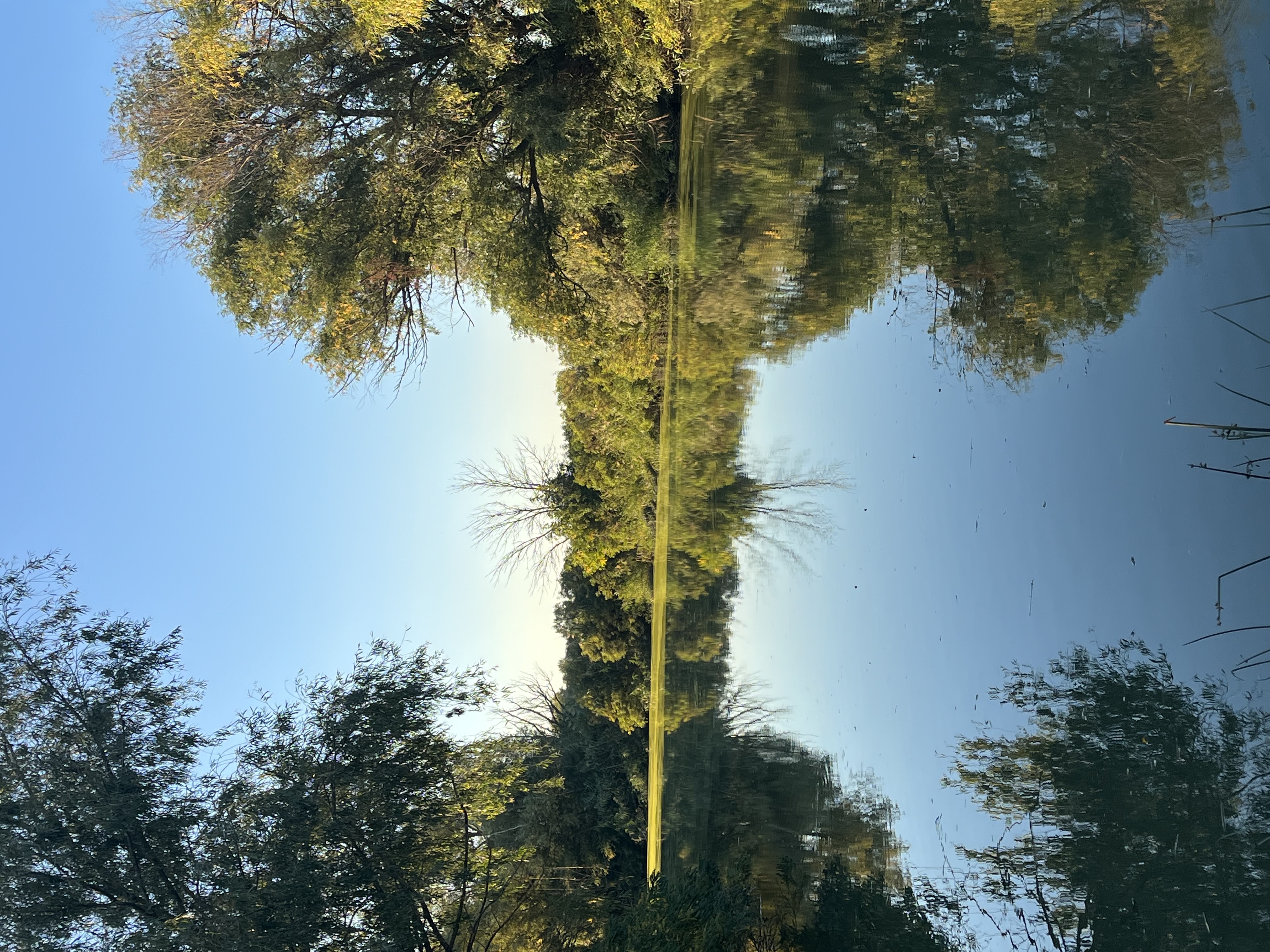 Осенняя река