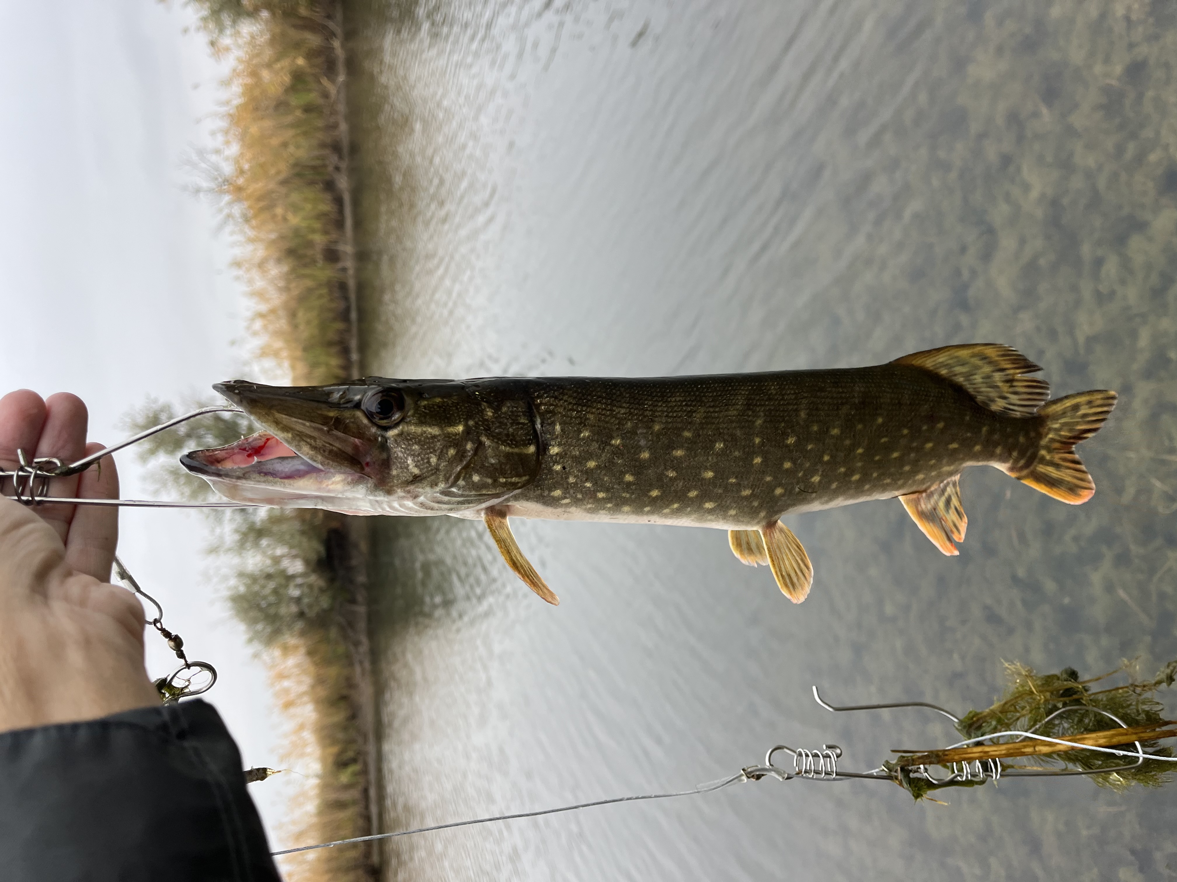 Удачная рыбалка