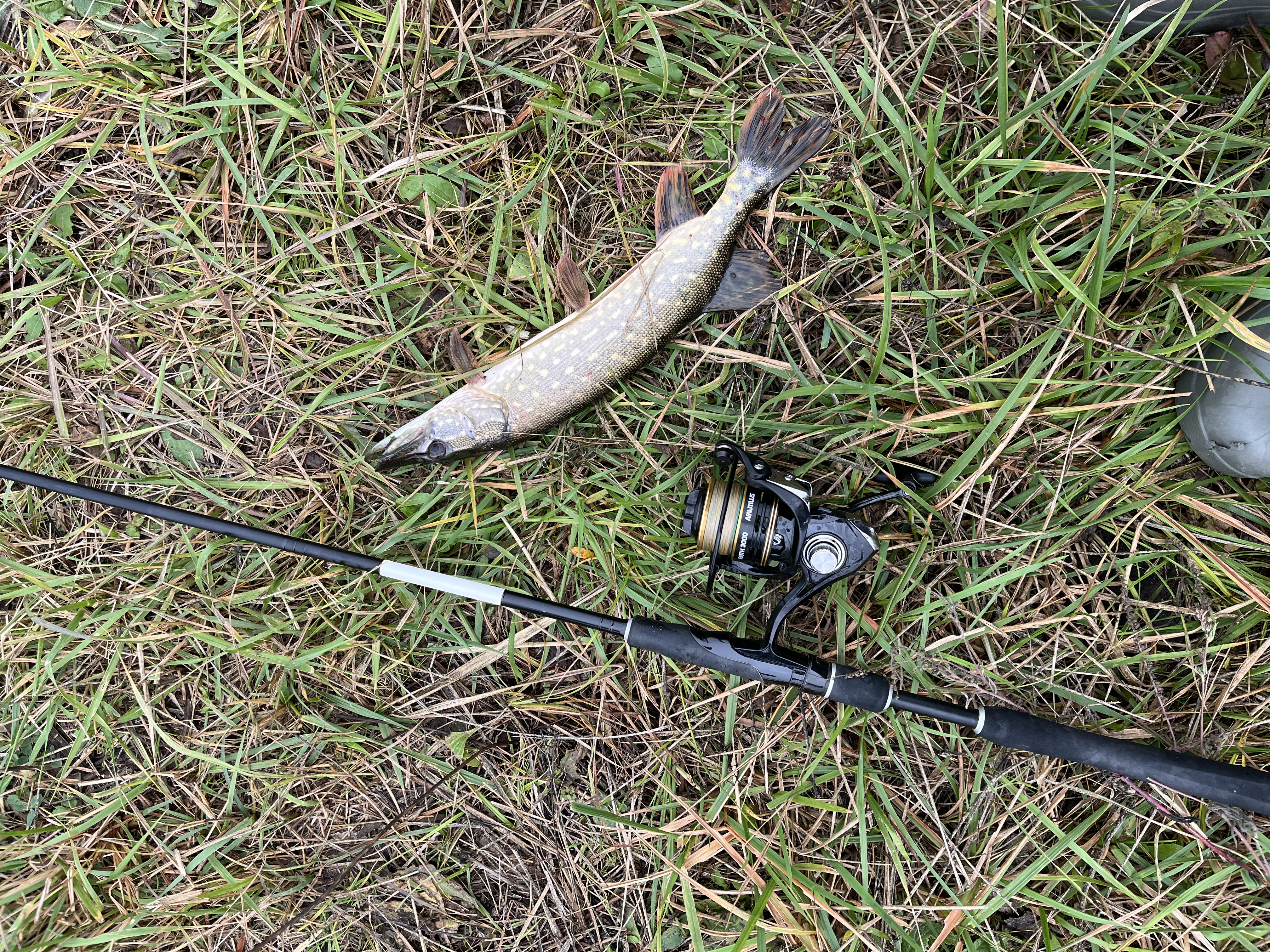 Удачная рыбалка