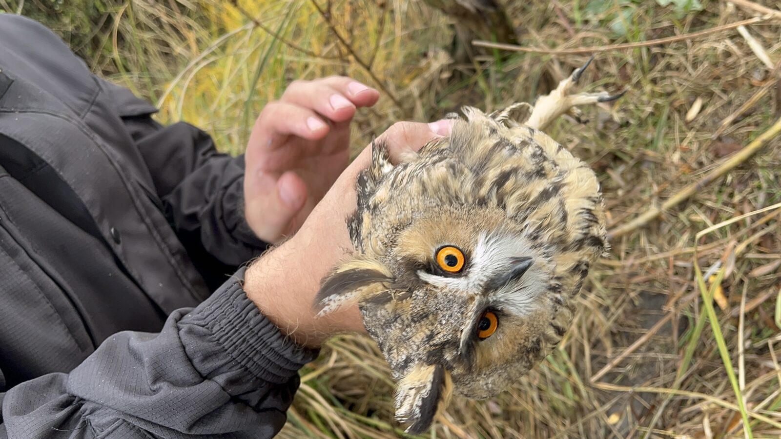 Удачная рыбалка
