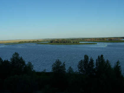 koshelevskoe-zaymische.420×420