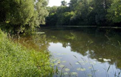 ozero-holodnoe.420×420