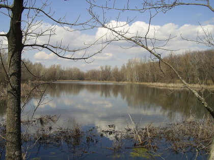 ozero-pionerskoe.420×420