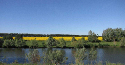 platnaya-rybalka-na-makarovskom-prudu_0.420×420