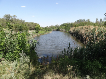 prudy-u-probuzhdeniya.420×420