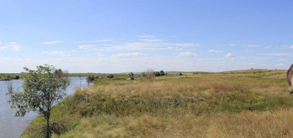 rybalka-na-prudu-zolotoj-karp_0.420×420