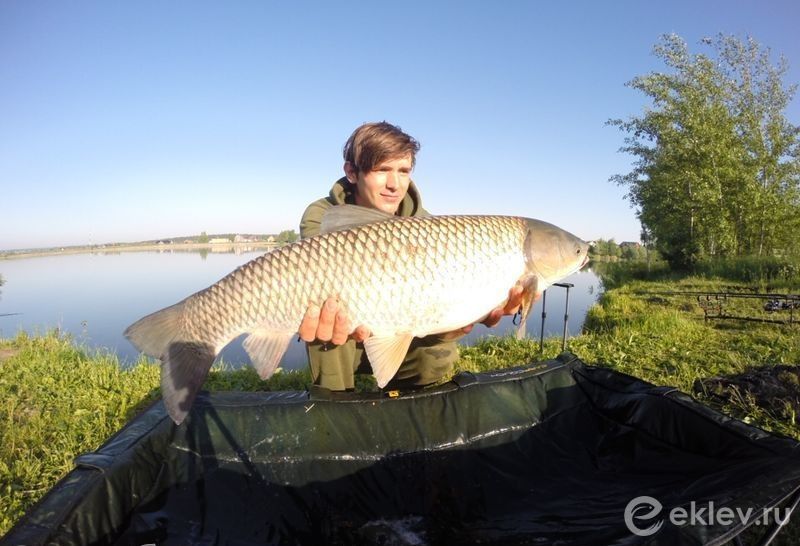 Рыбалка на «Серебряной чаше»