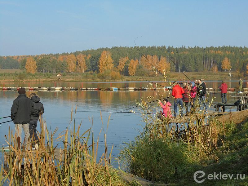 Рыбалка на Шабровском пруду