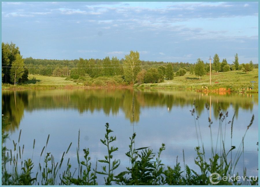 rybovodnoe-hozyajstvo-vodnyj-mir