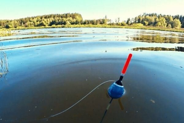 Особенности рыбалки осенью: секреты и советы для удачной ловли от FisheryAPP