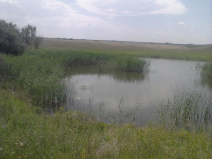 skatovskiy-prud.420×420